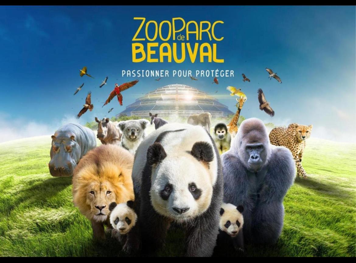 Gite Souai Et Zen , 5 Mn Du Zooparc De Beauval Saint-Aignan  Eksteriør billede